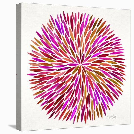 Burst in Pink Palette-Cat Coquillette-Premier Image Canvas