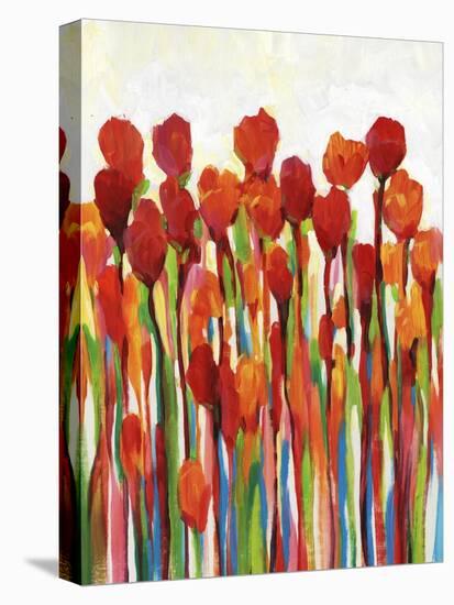 Bursting with Color II-Tim OToole-Stretched Canvas