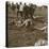 Burying bodies, Sainte-Marie-à-Py, northern France, c1914-c1918-Unknown-Premier Image Canvas