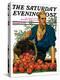 "Bushel of Apples," Saturday Evening Post Cover, November 14, 1931-John E. Sheridan-Premier Image Canvas