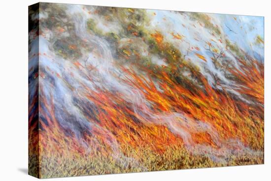 Bushfire Inferno, 2014-Tilly Willis-Premier Image Canvas