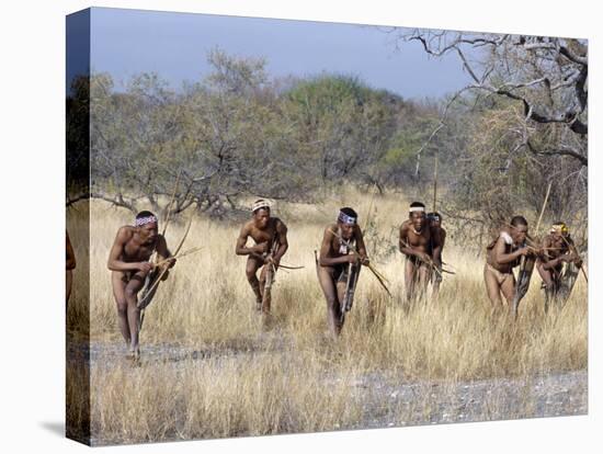 Bushman Hunter-Gatherers Makes Stealthy Approach Towards an Antelope, Bows and Arrows at Ready-Nigel Pavitt-Premier Image Canvas