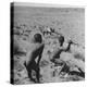 Bushman Throwing His Spear at a Winded Gemsbok-Nat Farbman-Premier Image Canvas