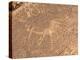 Bushmen Petroglyphs, Twyfelfontein Rock Art Site, UNESCO World Heritage Site, Damaraland, Namibia-Kim Walker-Premier Image Canvas