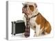 Business Dog - English Bulldog Male Wearing Tie And Glasses Sitting Beside Briefcase-Willee Cole-Premier Image Canvas