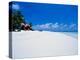 Businessman on Beach, Maldives-Stuart Westmorland-Premier Image Canvas