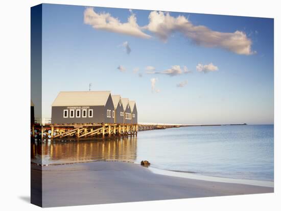 Busselton Pier at Dawn, Western Australia, Australia-Ian Trower-Premier Image Canvas