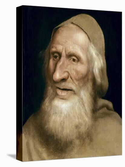 Bust of an old man-Quentin Massys or Metsys-Premier Image Canvas