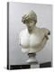 Bust of Antinous, Antinous Said Ecouen (117-138 Ad)-null-Premier Image Canvas