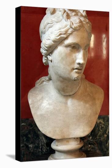 Bust of Aphrodite, Goddess of Beauty and Love-null-Premier Image Canvas