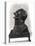 Bust of Charles Philipon (1800-62), c.1833-Honore Daumier-Premier Image Canvas