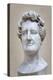Bust of Georges Cuvier (1769-1832) (Marble)-Pierre Jean David d'Angers-Premier Image Canvas
