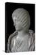 Bust of Julia Domna. Artist: Unknown-Unknown-Premier Image Canvas