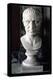 Bust of Julius Caesar-null-Premier Image Canvas