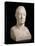 Bust of Marie-Joseph-Gilbert Du Motier, Marquis De La Fayette (1757-1834), 1829 (Marble)-Pierre Jean David d'Angers-Premier Image Canvas