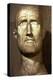 Bust of Probus, Roman Emperor (276-282), c3rd century-Unknown-Premier Image Canvas