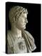 Bust of the Emperor Hadrian-null-Premier Image Canvas