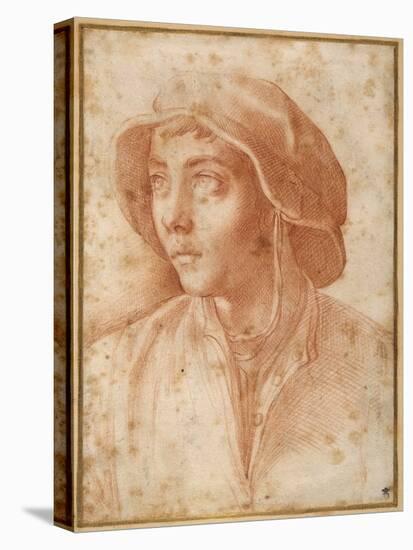 Bust Portrait of a Boy Wearing a Cap-Francesco De Rossi Salviati Cecchino-Premier Image Canvas