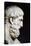 Bust Sculpture of Epicurus-null-Premier Image Canvas