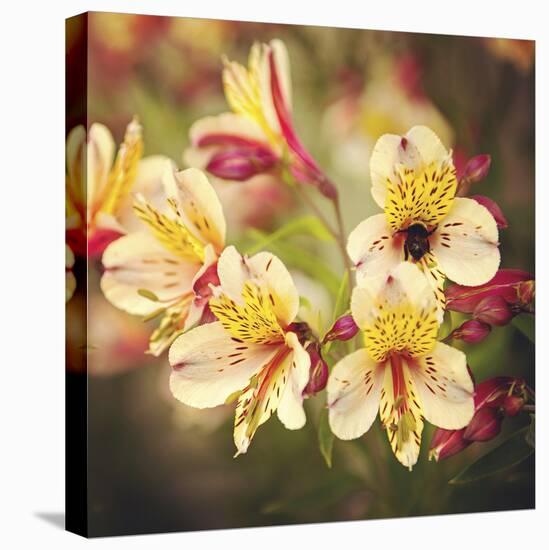 Busy Bee-Lance Kuehne-Premier Image Canvas