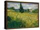 But Green - Painting by Vincent Van Gogh (1853-1890), Oil on Canvas, 1889 - French Art, 19Th Centur-Vincent van Gogh-Premier Image Canvas