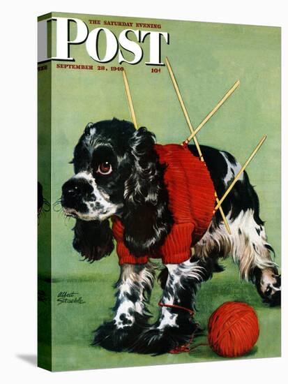 "Butch and Knitted Sweater," Saturday Evening Post Cover, September 28, 1946-Albert Staehle-Premier Image Canvas