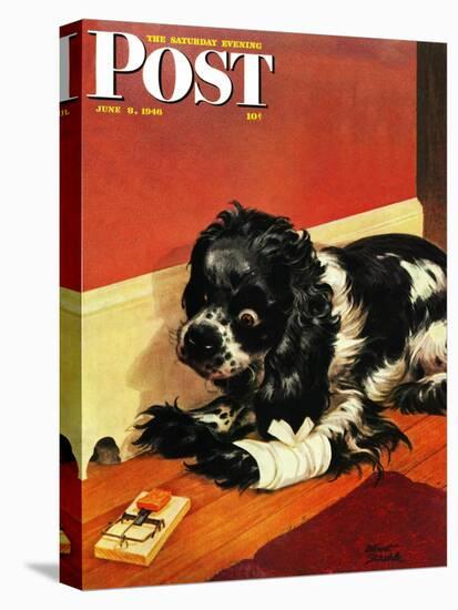 "Butch and Mousetrap," Saturday Evening Post Cover, June 8, 1946-Albert Staehle-Premier Image Canvas