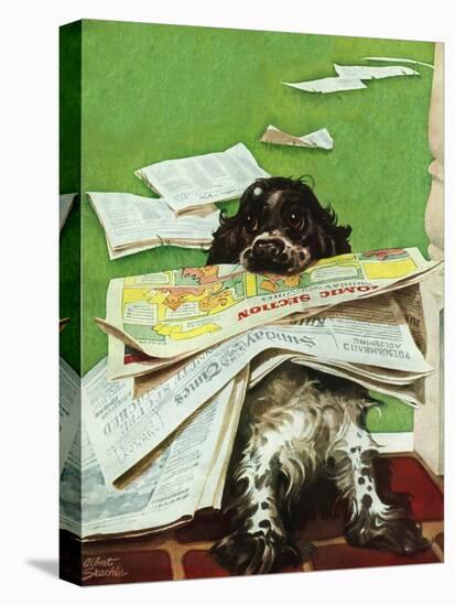 "Butch and the Sunday Paper," May 31, 1947-Albert Staehle-Premier Image Canvas