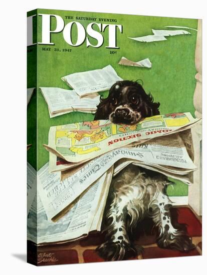 "Butch and the Sunday Paper," Saturday Evening Post Cover, May 31, 1947-Albert Staehle-Premier Image Canvas