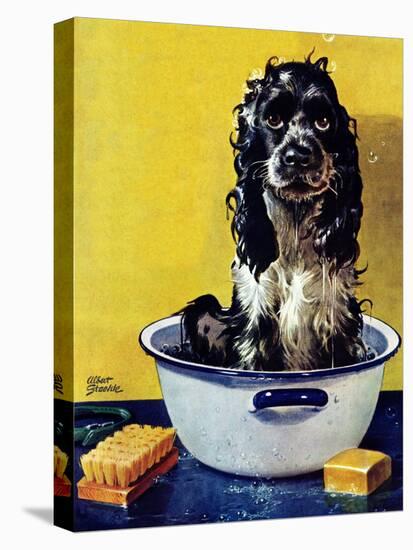 "Butch Gets a Bath," May 11, 1946-Albert Staehle-Premier Image Canvas