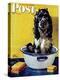 "Butch Gets a Bath," Saturday Evening Post Cover, May 11, 1946-Albert Staehle-Premier Image Canvas