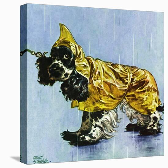 "Butch in Raingear," April 2, 1949-Albert Staehle-Premier Image Canvas