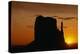 Butte at Sunset-DLILLC-Premier Image Canvas