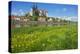 Buttercup Meadow at the Elbe in Front of Albrechtsburg and Cathedral in Mei§en-Uwe Steffens-Premier Image Canvas