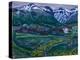 Buttercup Night-Nikolai Astrup-Premier Image Canvas