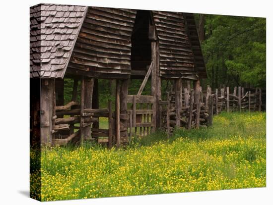 Buttercups and Cantilever Barn, Pioneer Homestead, Great Smoky Mountains National Park, N. Carolina-Adam Jones-Premier Image Canvas