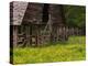 Buttercups and Cantilever Barn, Pioneer Homestead, Great Smoky Mountains National Park, N. Carolina-Adam Jones-Premier Image Canvas