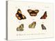 Butterflies, 1783-1806-null-Premier Image Canvas