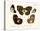 Butterflies, 1783-1806-null-Premier Image Canvas