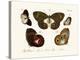 Butterflies, 1783-1806-null-Premier Image Canvas