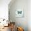 Butterflies and Botanicals 1-Christopher James-Stretched Canvas displayed on a wall