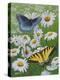 Butterflies and Daisies-Fred Szatkowski-Stretched Canvas