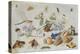 Butterflies and Other Insects, 1661-Jan Van, The Elder Kessel-Premier Image Canvas