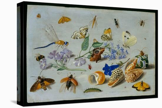 Butterflies and Other Insects, 1661-Jan Van, The Elder Kessel-Premier Image Canvas