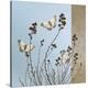 Butterflies-Caroline Gold-Stretched Canvas