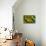 Butterfly 4-Robert Goldwitz-Premier Image Canvas displayed on a wall