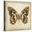 Butterfly 6-Amy Melious-Stretched Canvas