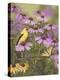 Butterfly and Finch Amongst Flowers-William Vanderdasson-Premier Image Canvas