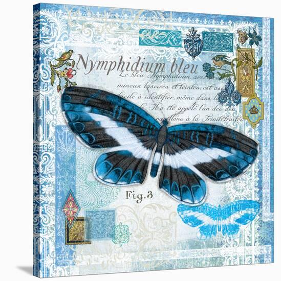 Butterfly Artifact Blue-Alan Hopfensperger-Stretched Canvas