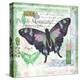 Butterfly Artifact Green-Alan Hopfensperger-Stretched Canvas